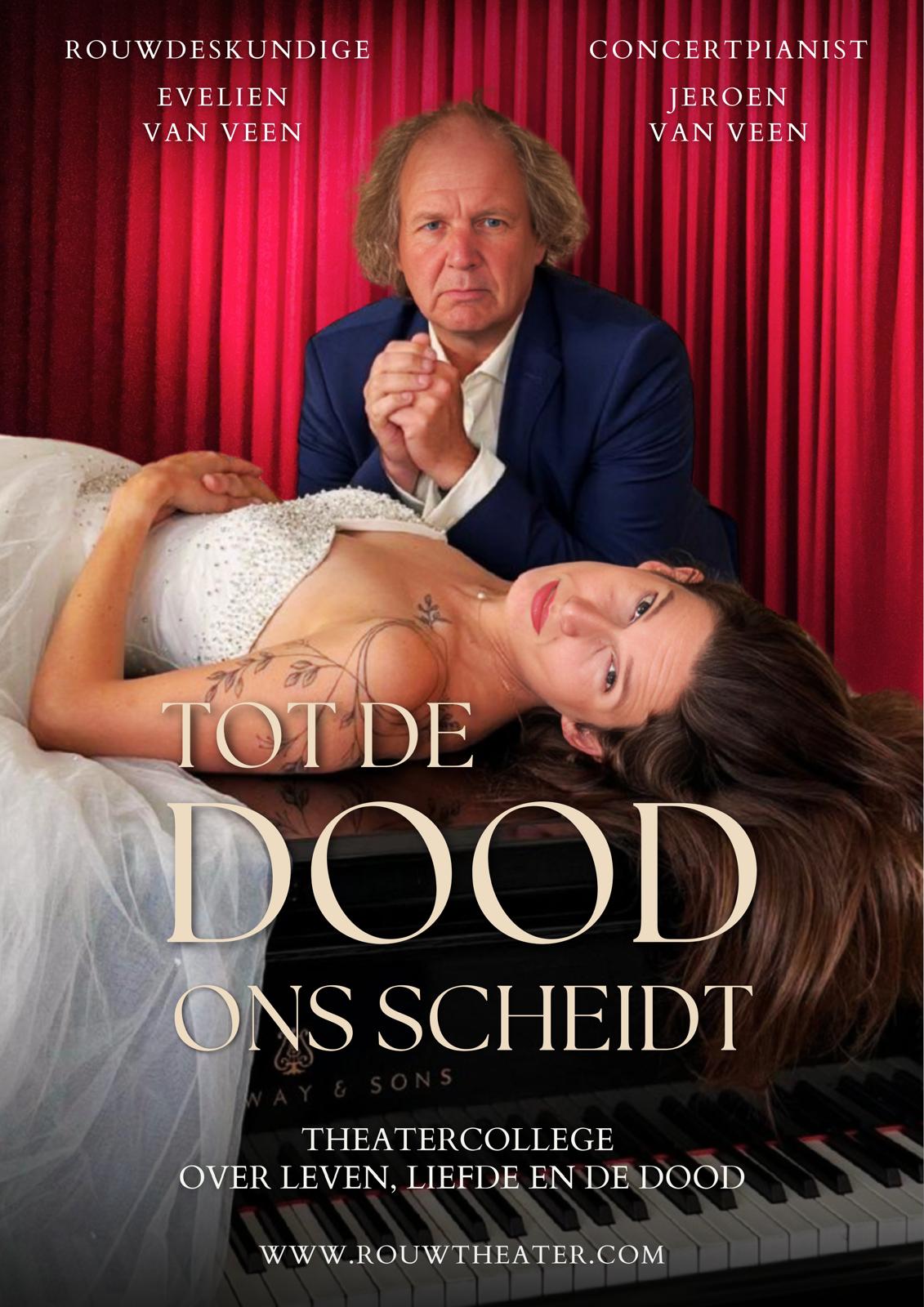 TDDOS affiche klein